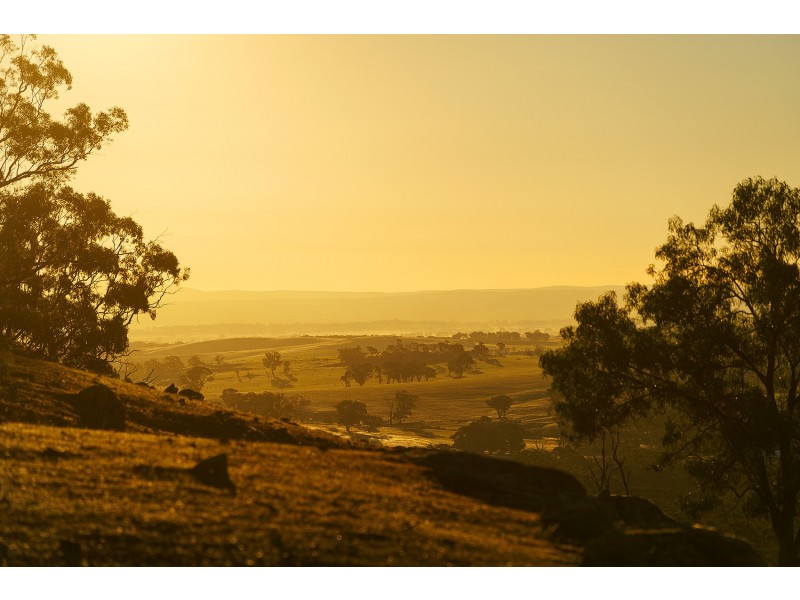 1/223 Nuggetty Road, Maldon VIC 3463