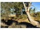 CA 18A-18I Castlemaine-Maldon Road, Muckleford VIC 3451