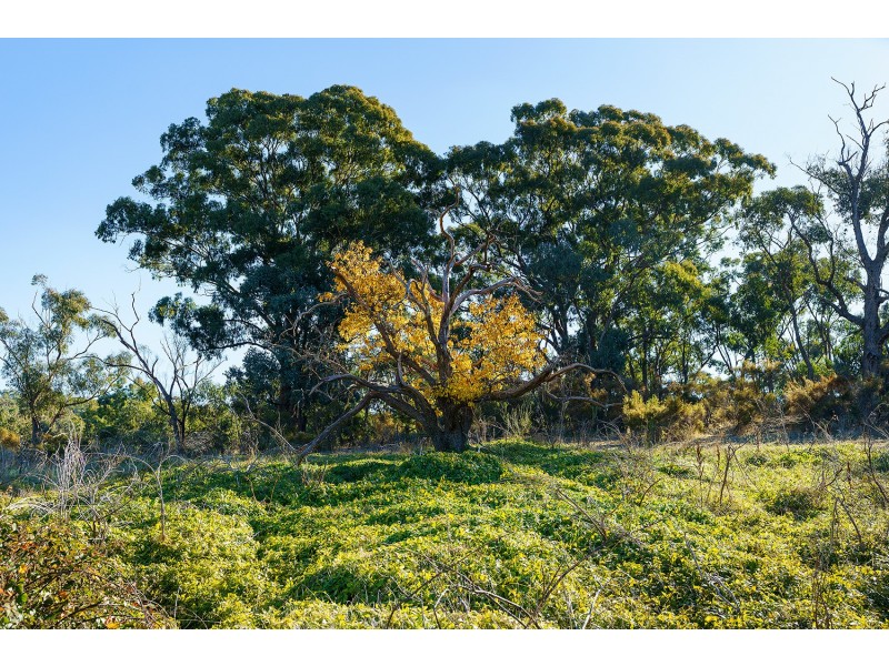CA  4-7 Vaughan Chewton Road, Chewton VIC 3451