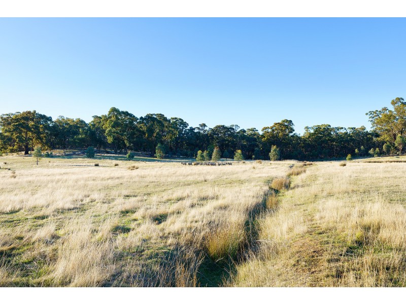 Lot 18K Castlemaine-Maldon Road, Muckleford VIC 3451