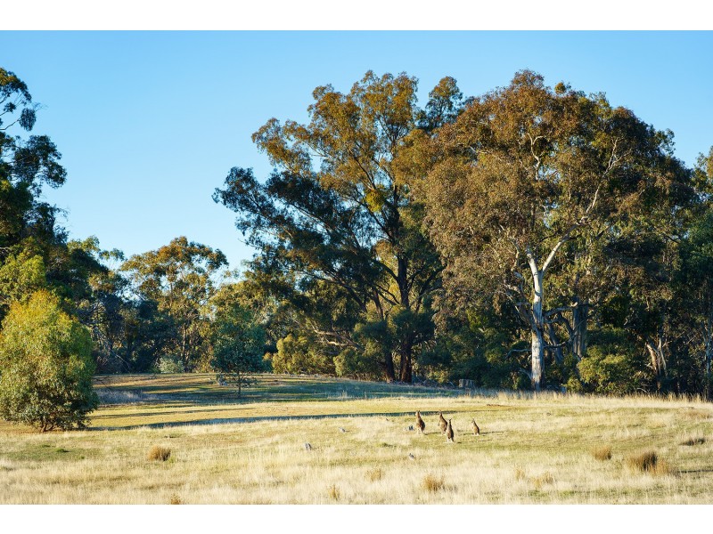 Lot 18K Castlemaine-Maldon Road, Muckleford VIC 3451