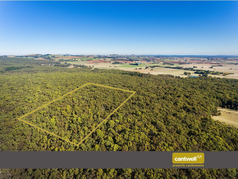 CA 2C, 360 Long Swamp Road, Mollongghip VIC 3352