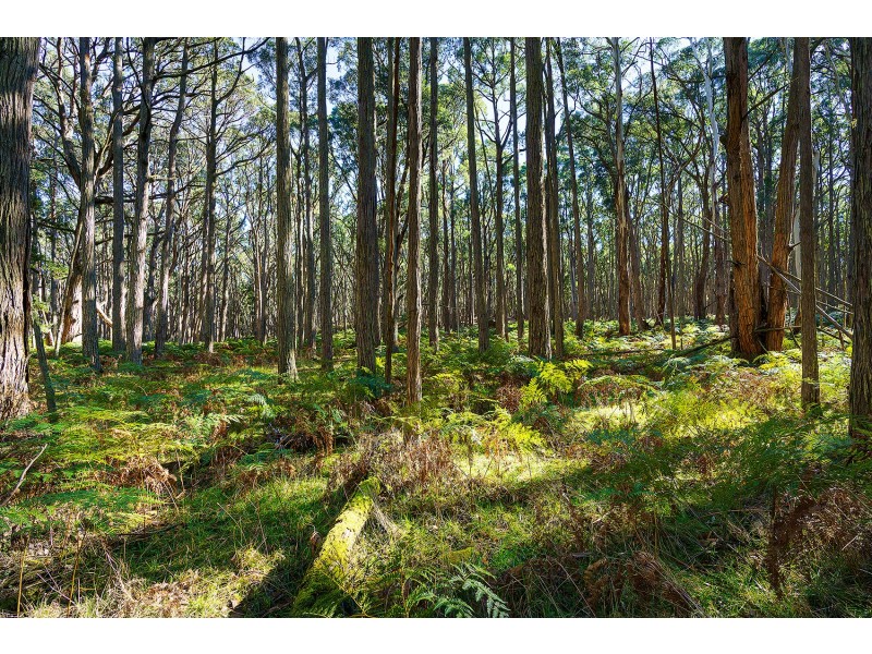 CA 2C, 360 Long Swamp Road, Mollongghip VIC 3352