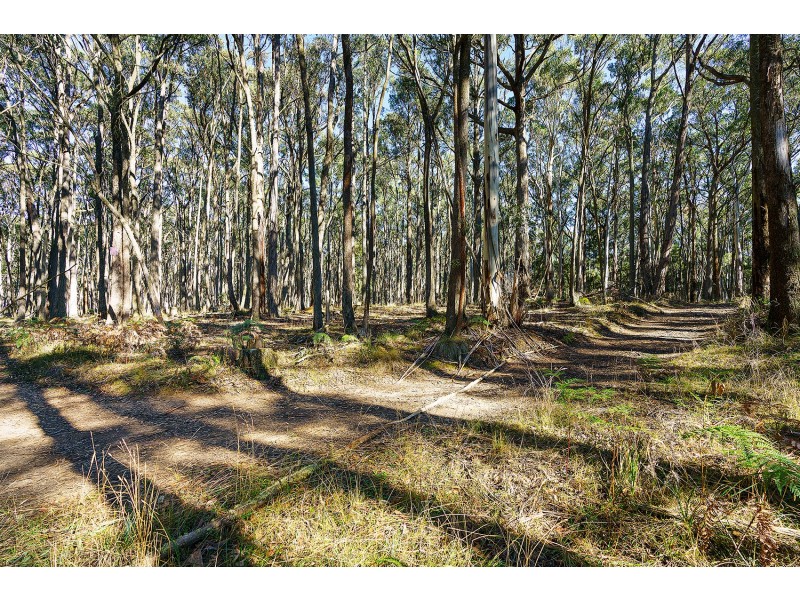 CA 2C, 360 Long Swamp Road, Mollongghip VIC 3352
