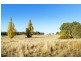 18J & 15A Castlemaine-Maldon Road, Muckleford VIC 3451