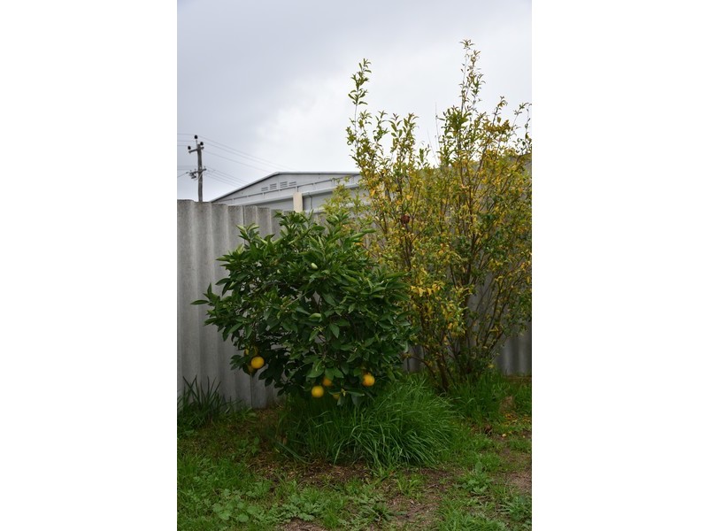 71 Woodhall Street, Stirling WA 6021