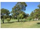 11 BARD Place, Balga WA 6061