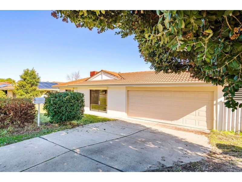 79 Hillcrest Road, Alexander Heights WA 6064