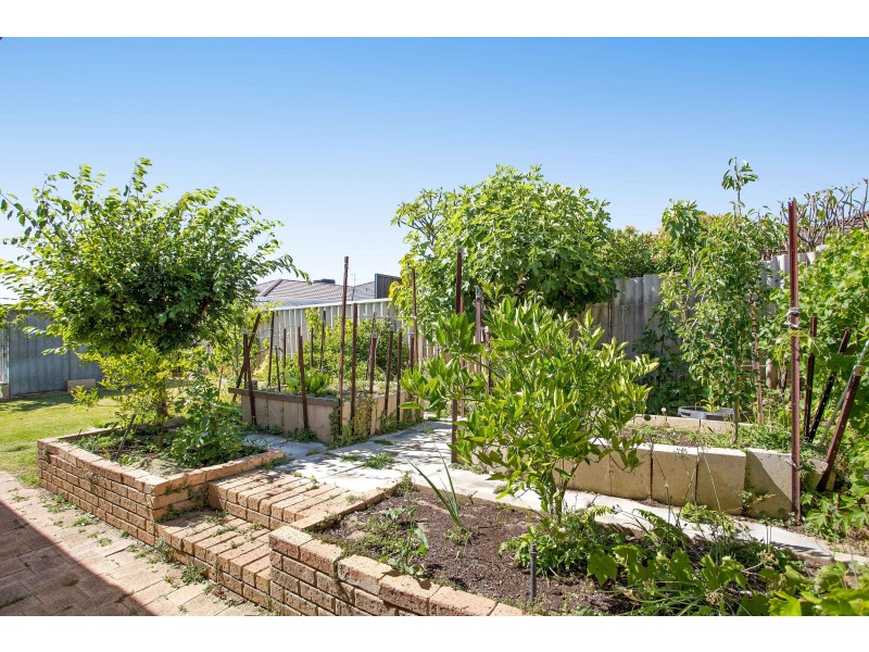 26 Drayton Green Way, Kingsley WA 6026