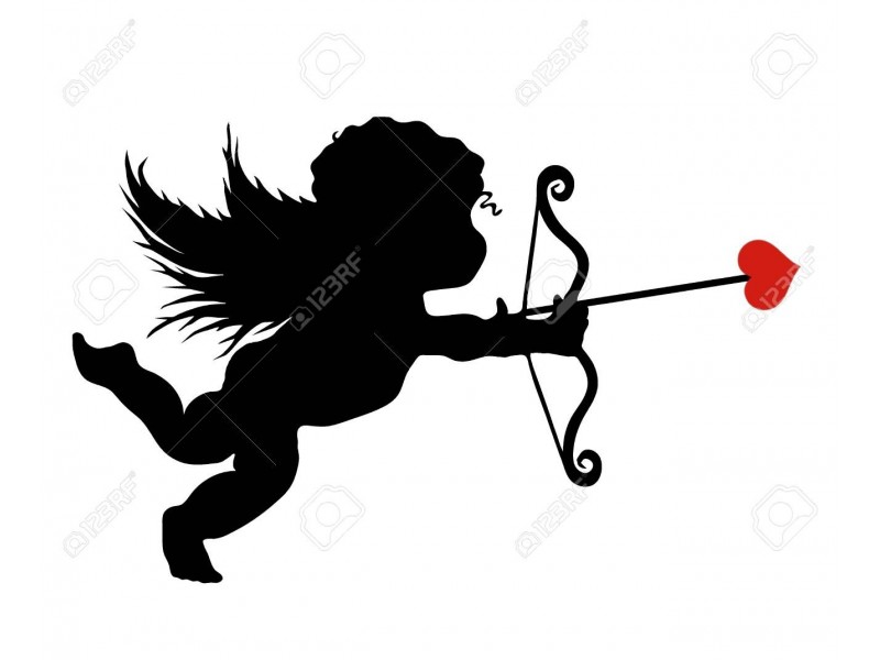 37 Archer Street, Pearsall WA 6065