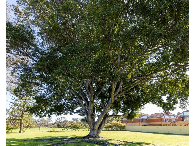 87/99 Herdsman Parade, Wembley WA 6014