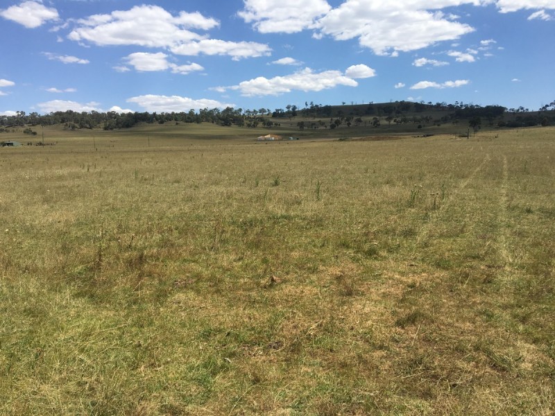 501 Boorolong Road, Armidale NSW 2350