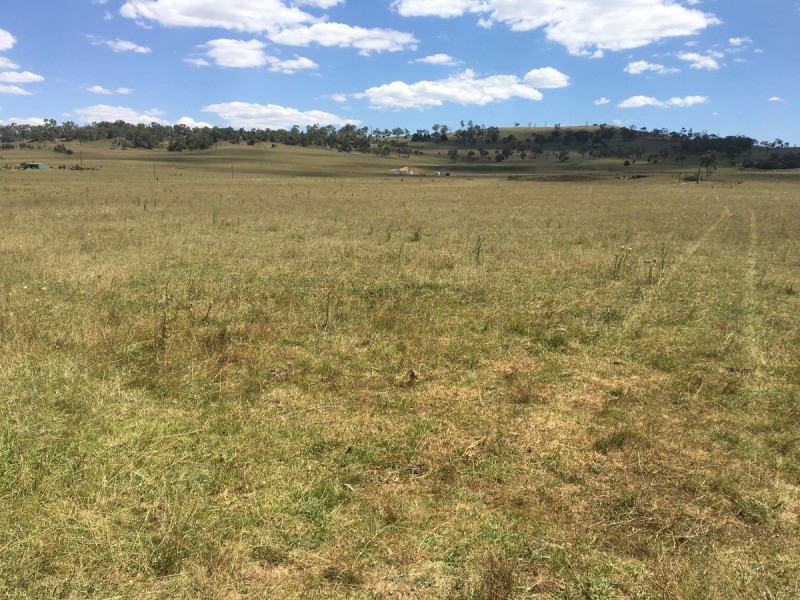 501 Boorolong Road, Armidale NSW 2350