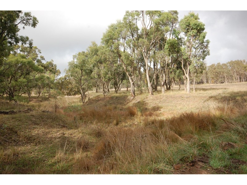 109 Bilga Road, Armidale NSW 2350