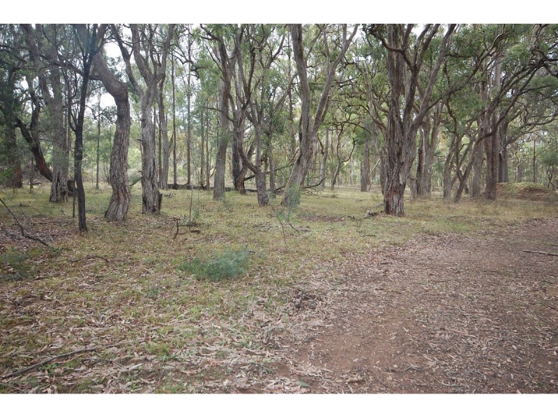 109 Bilga Road, Armidale NSW 2350