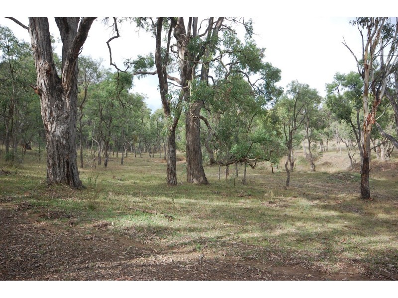 109 Bilga Road, Armidale NSW 2350