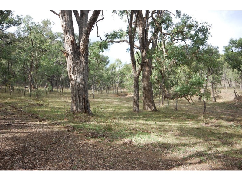 109 Bilga Road, Armidale NSW 2350