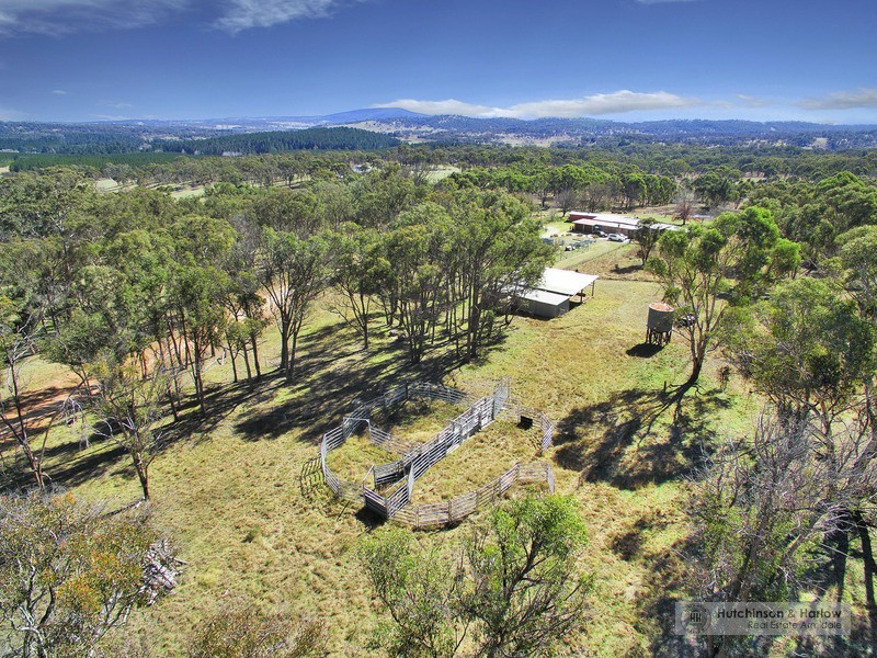 169 Pine Forest Road, Armidale NSW 2350