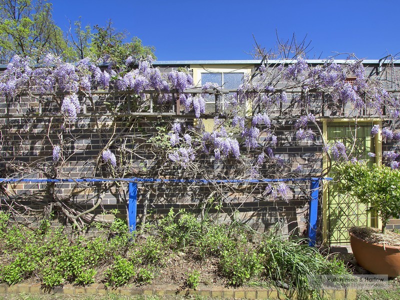 91 Brown Street, Armidale NSW 2350