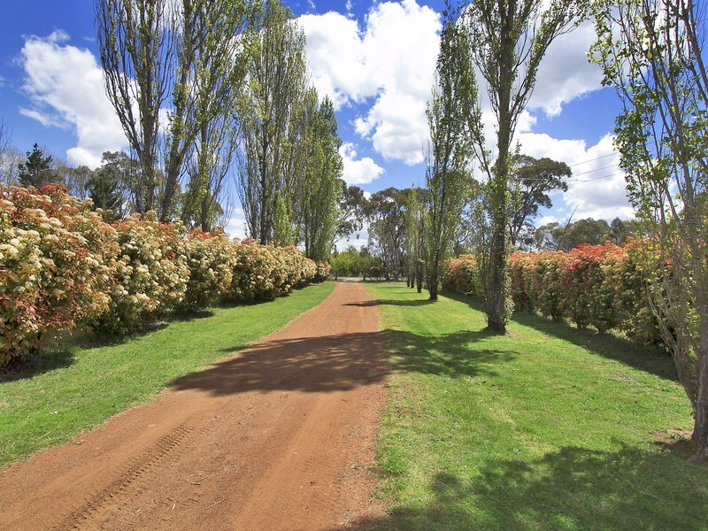 41 Pinegrove Road, Armidale NSW 2350