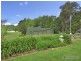 4 Homestead Lane, Armidale NSW 2350