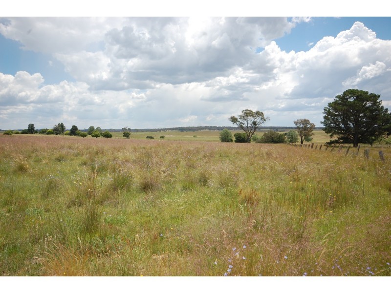 85 Dorlie Lane, Kentucky NSW 2354