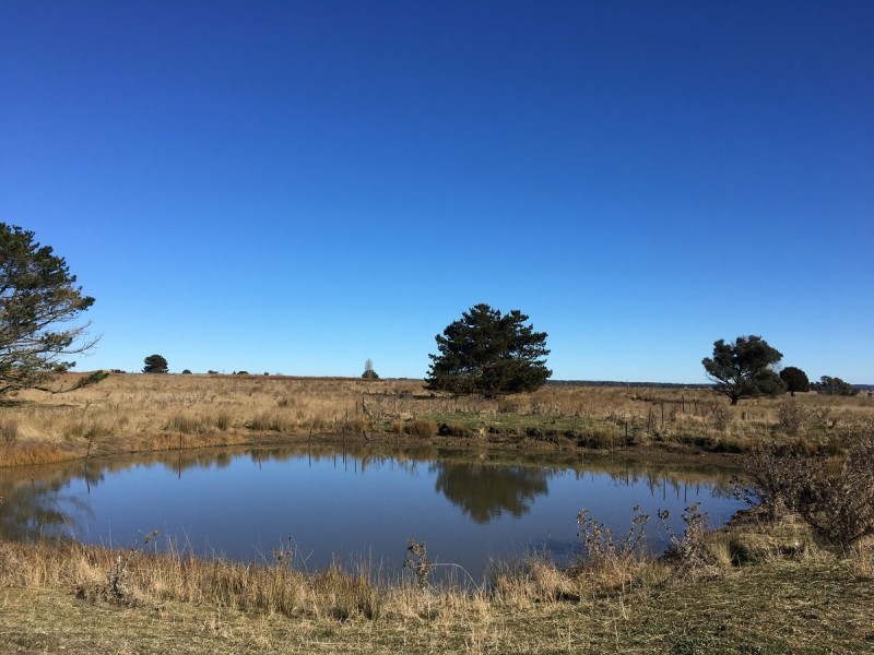 85 Dorlie Lane, Kentucky NSW 2354