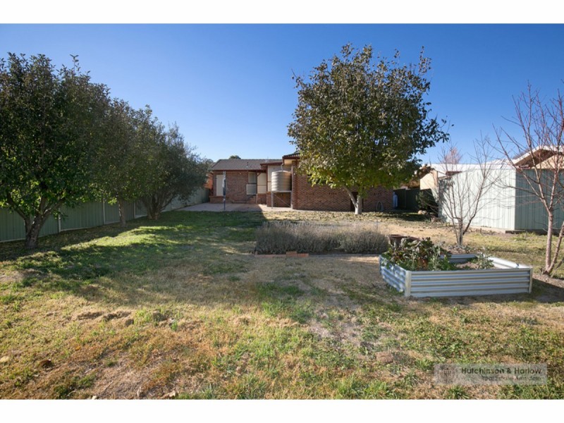 12 Williams Place, Armidale NSW 2350
