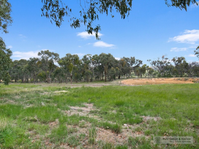 1233 Bundarra Road, Armidale NSW 2350