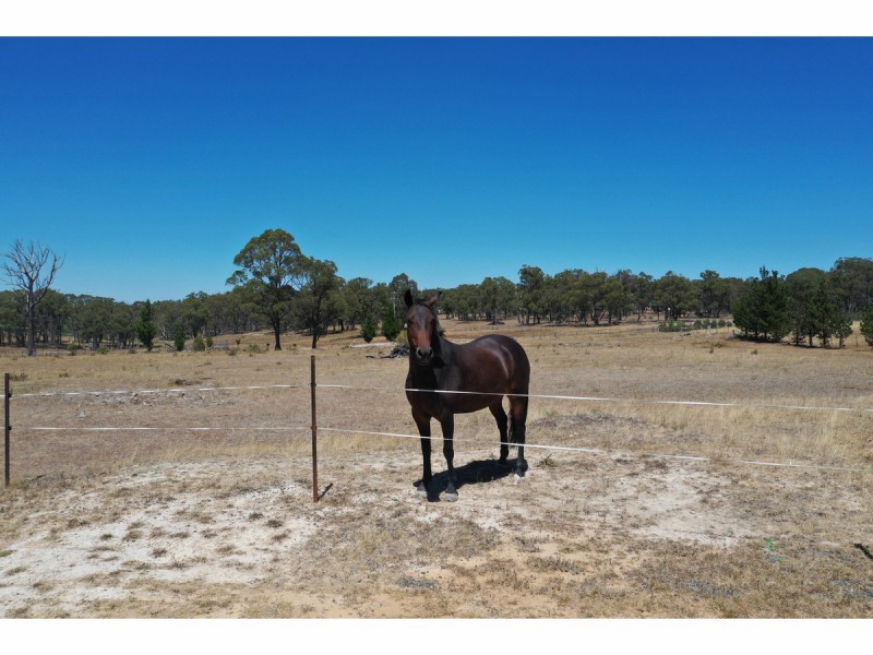 1425 Bundarra Road, Armidale NSW 2350