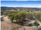23 Stringybark Ridge Road, Armidale NSW 2350
