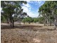 23 Stringybark Ridge Road, Armidale NSW 2350