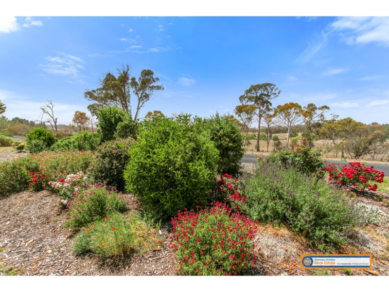 163 Rowlands Road, Armidale NSW 2350