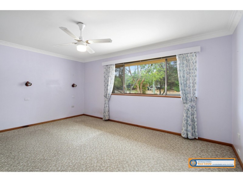 31 Chestnut Avenue, Armidale NSW 2350