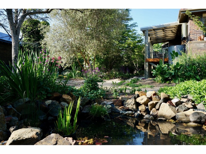 91 Brown Street, Armidale NSW 2350