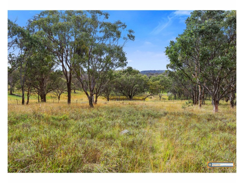 23 Stringybark Ridge Road, Armidale NSW 2350