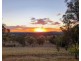 197 Mount Mitchell Road, Armidale NSW 2350