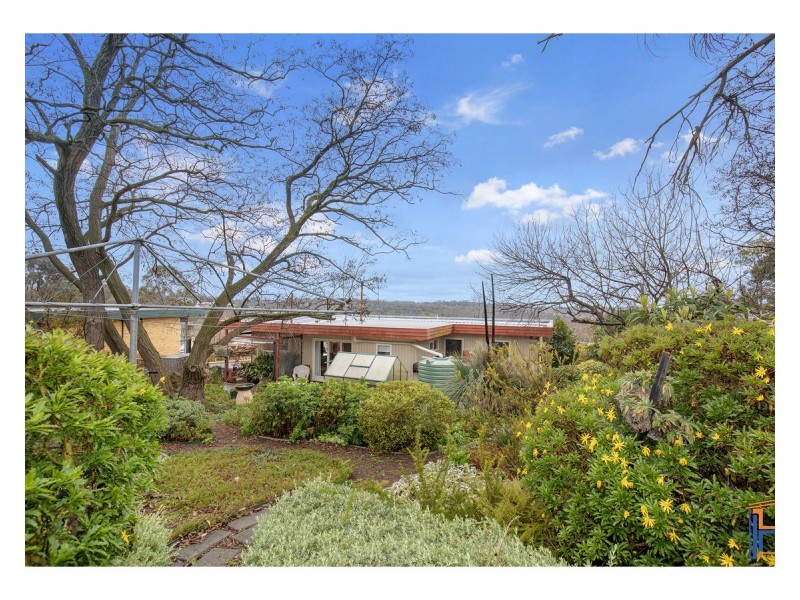 16 Curtis Street, Armidale NSW 2350
