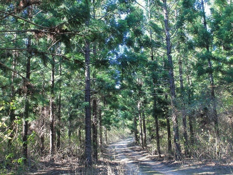 575/Lot 575 Kooralgin-Gilla Road, Gilla QLD 4306