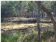 575/Lot 575 Kooralgin-Gilla Road, Gilla QLD 4306
