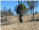 575/Lot 575 Kooralgin-Gilla Road, Gilla QLD 4306
