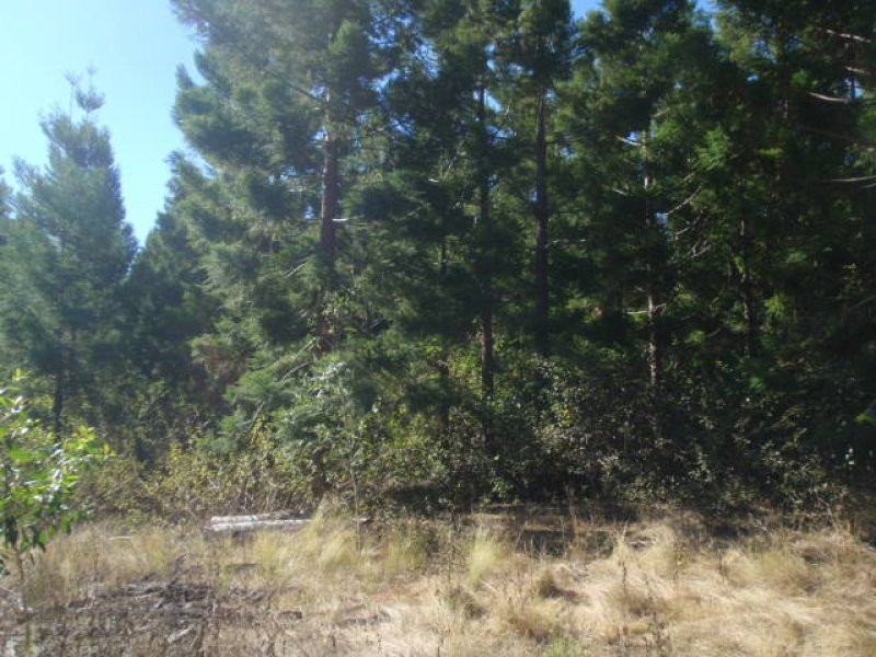 575/Lot 575 Kooralgin-Gilla Road, Gilla QLD 4306