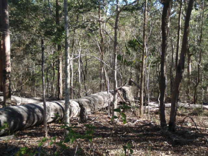 575/Lot 575 Kooralgin-Gilla Road, Gilla QLD 4306
