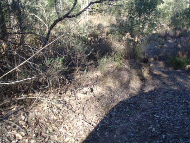 575/Lot 575 Kooralgin-Gilla Road, Gilla QLD 4306