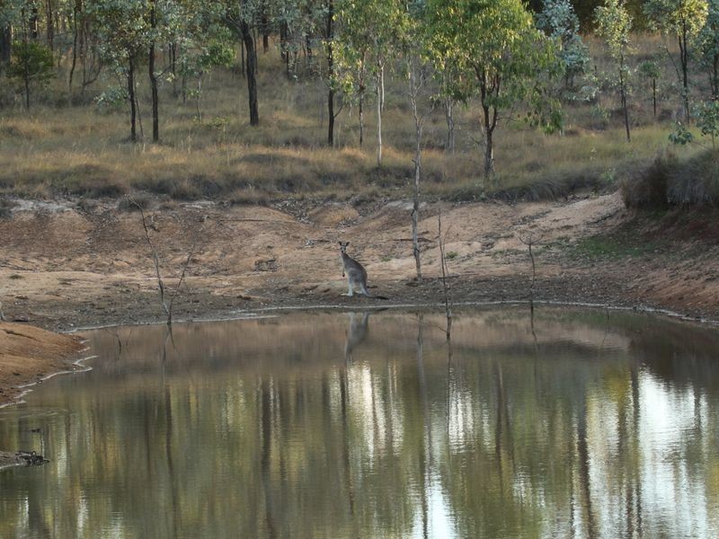 124 Franks Road, Blackbutt QLD 4306