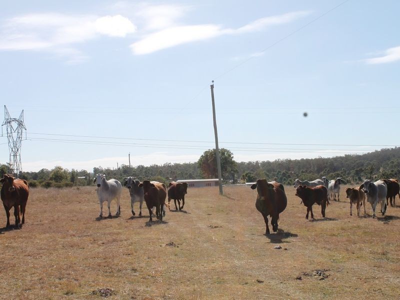 1/Lot 1 Harper Road, Taromeo QLD 4306