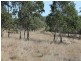 1/Lot 1 Harper Road, Taromeo QLD 4306