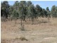 1/Lot 1 Harper Road, Taromeo QLD 4306