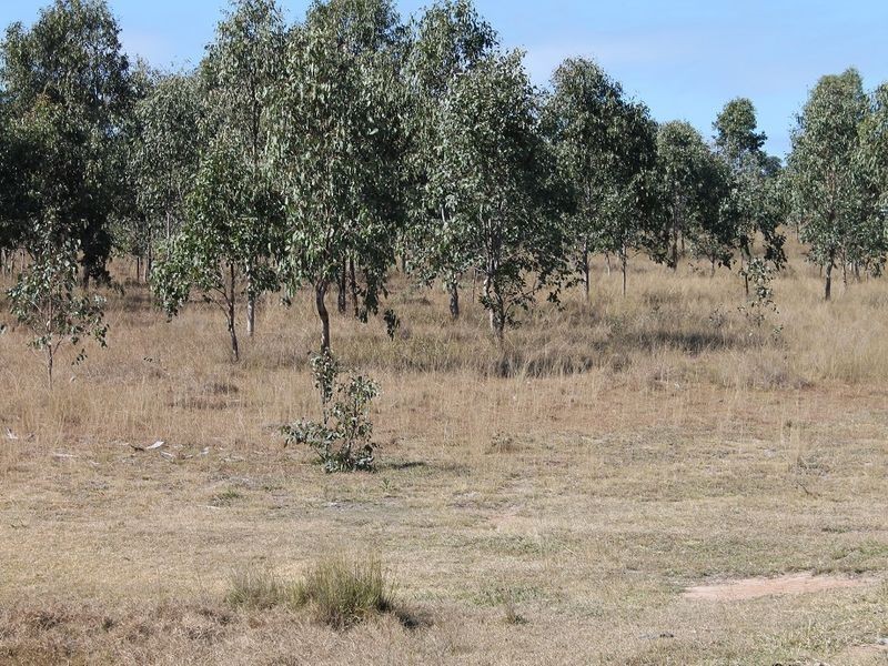 1/Lot 1 Harper Road, Taromeo QLD 4306