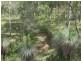 464/Lot 464 Nukku North Road, Taromeo QLD 4306